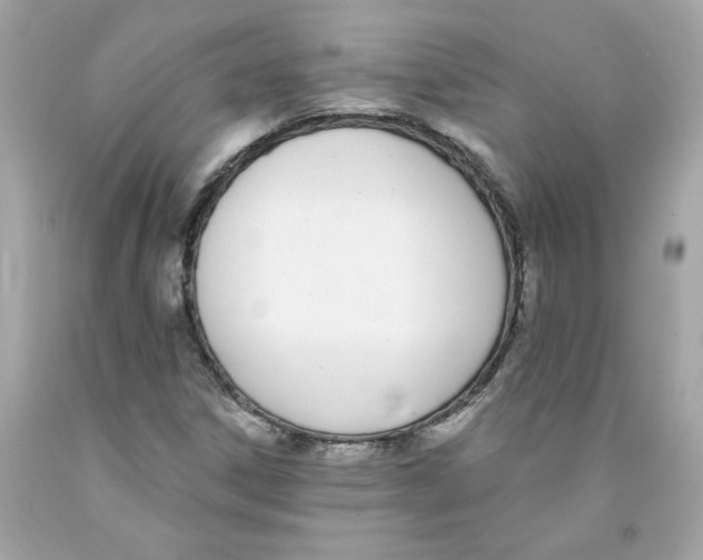 X0000091071306200709041211