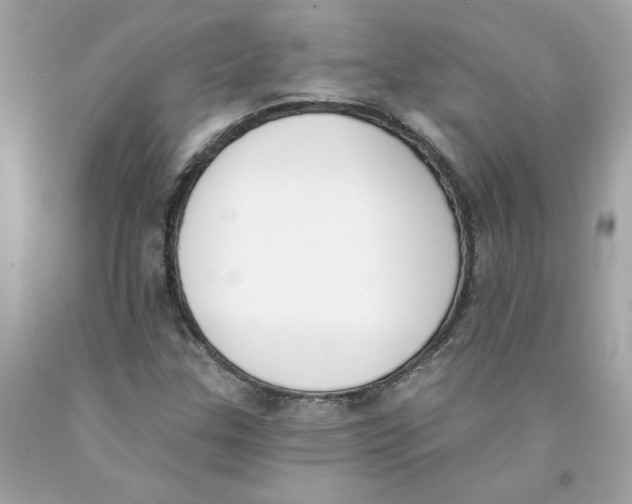 X0000091071307200709041211
