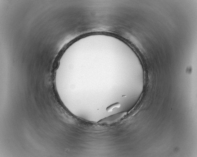 X0000091071308200709041211