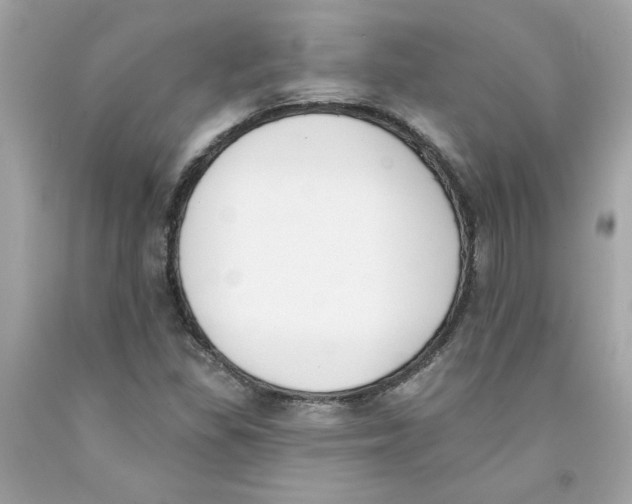 X0000091071309200709041211