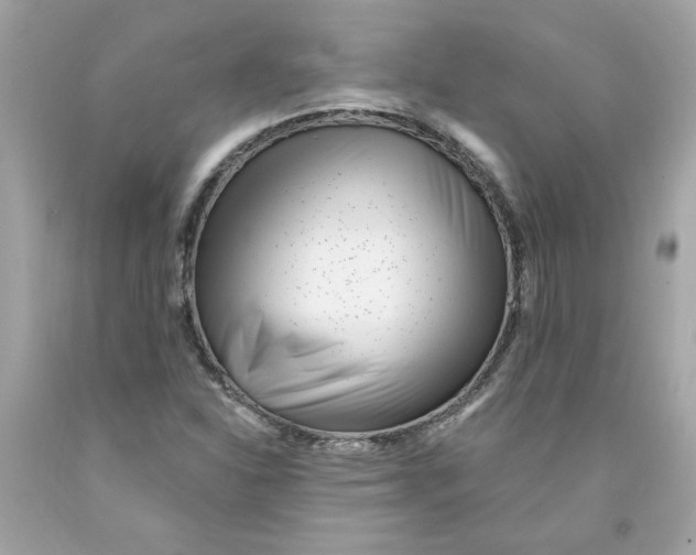 X0000091071310200709041211