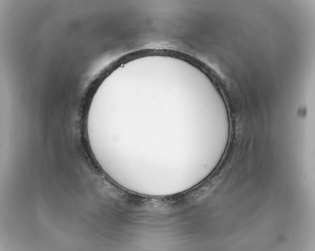 X0000091071311200709041211