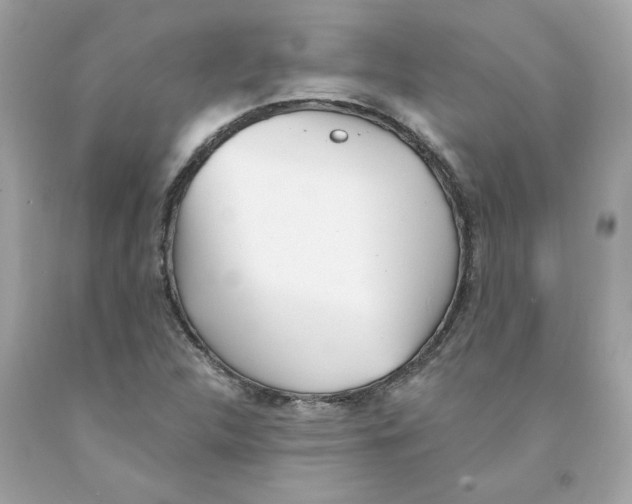 X0000091071312200709041211