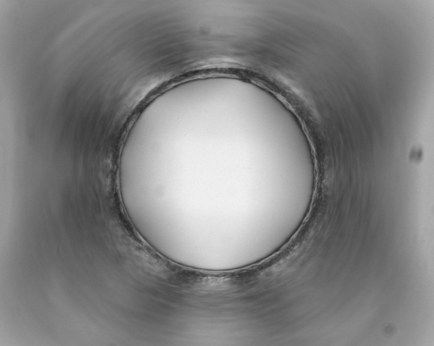 X0000091071313200709041211
