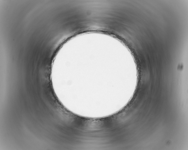 X0000091071314200709041211