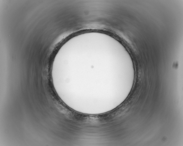 X0000091071315200709041211