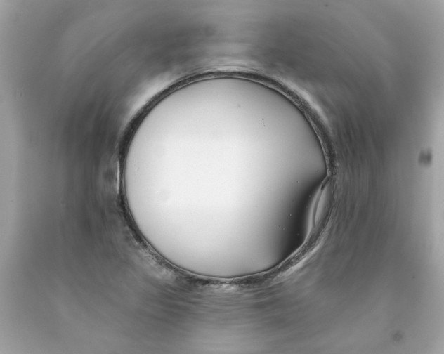 X0000091071317200709041211