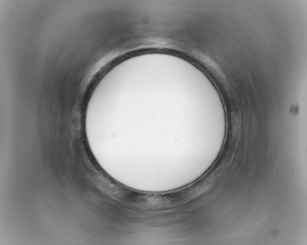 X0000091071318200709041211