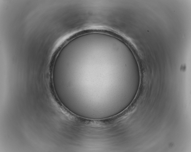 X0000091071319200709041211