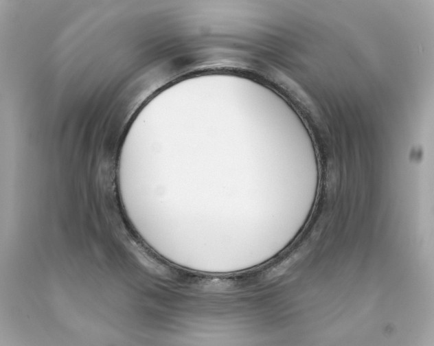 X0000091071321200709041211