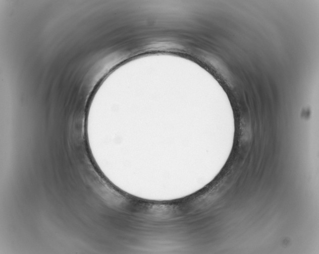 X0000091071322200709041211