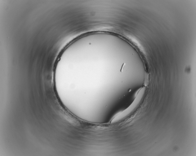 X0000091071324200709041211