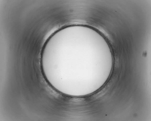X0000091071325200709041211