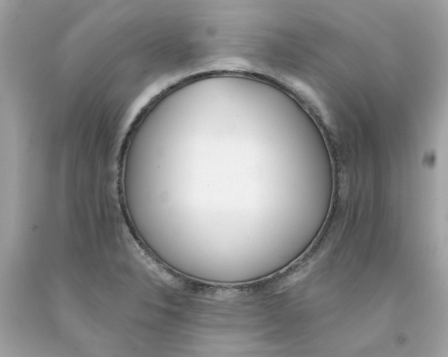 X0000091071326200709041211