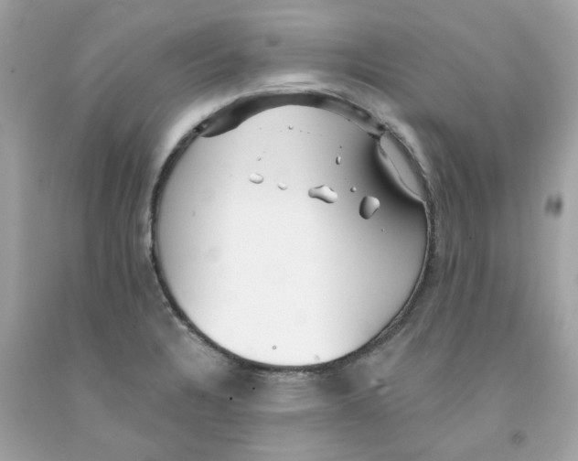 X0000091071328200709041211