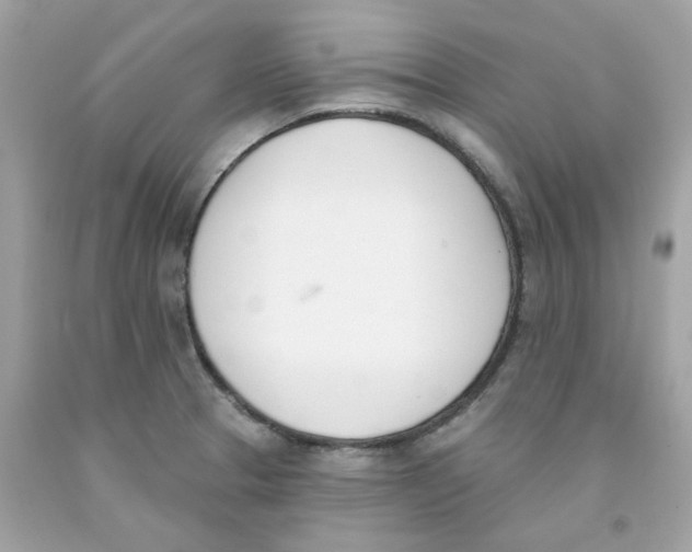 X0000091071329200709041211