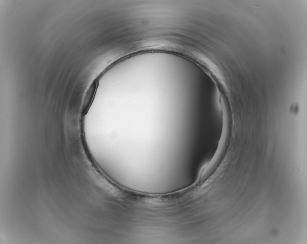 X0000091071330200709041211