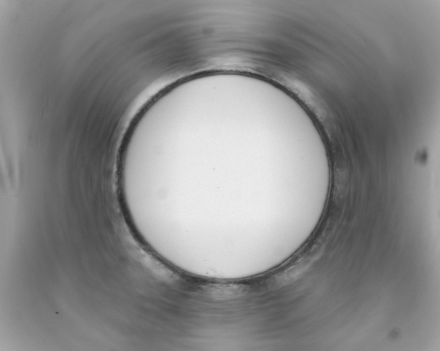X0000091071331200709041211
