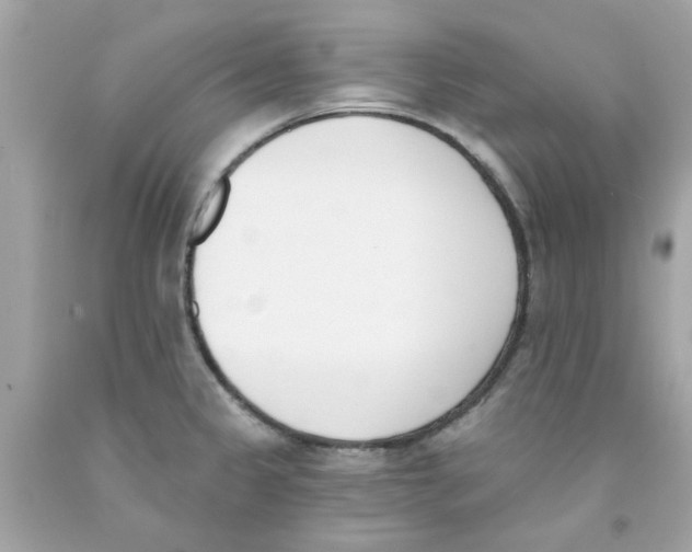 X0000091071333200709041211
