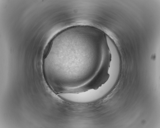 X0000091071334200709041211