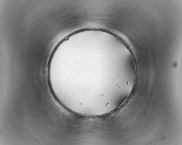 X0000091071335200709041212