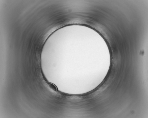X0000091071337200709041212