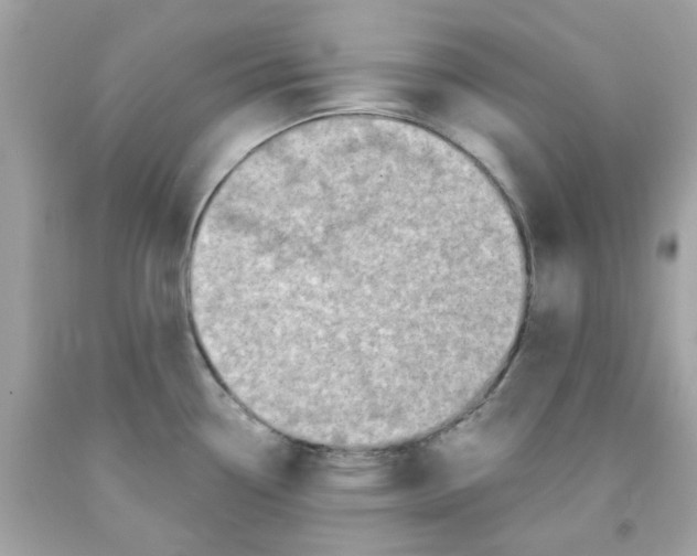 X0000091071338200709041212