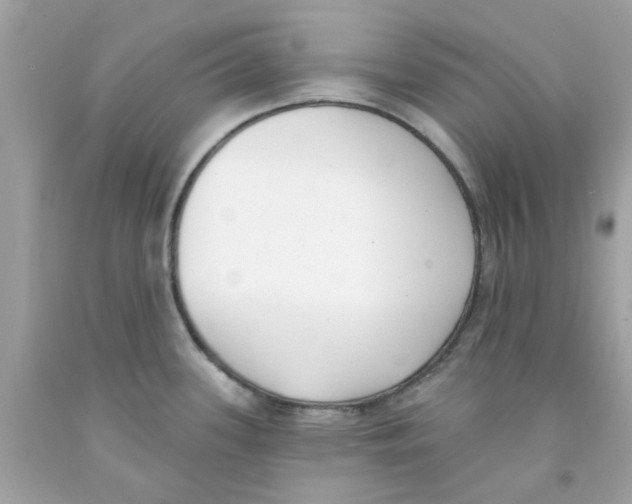 X0000091071339200709041212