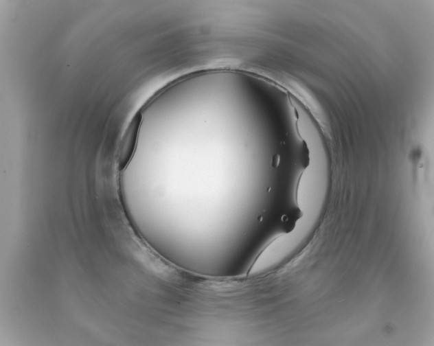 X0000091071340200709041212