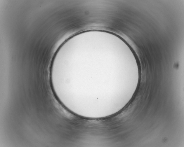 X0000091071341200709041212