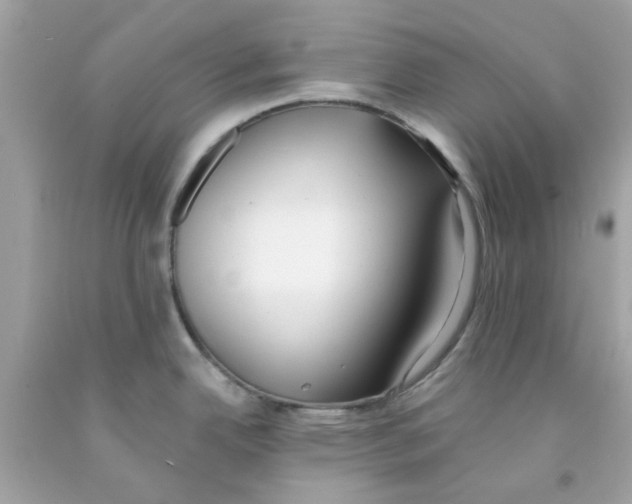 X0000091071342200709041212