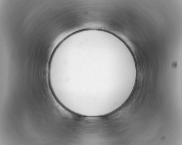X0000091071343200709041212