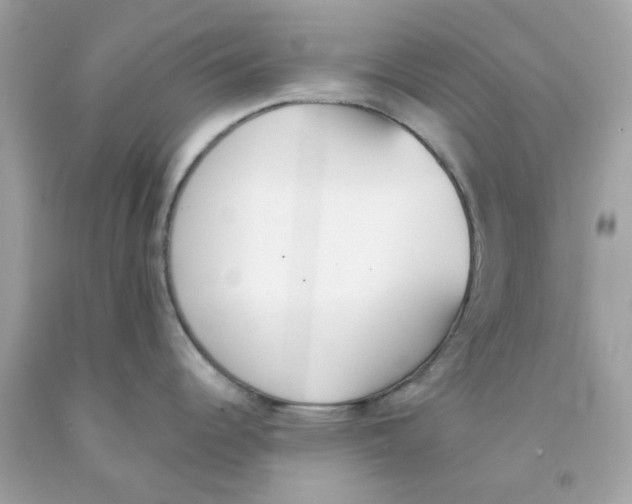 X0000091071344200709041212