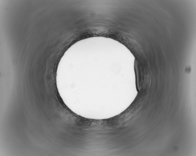 X0000091071345200709041211
