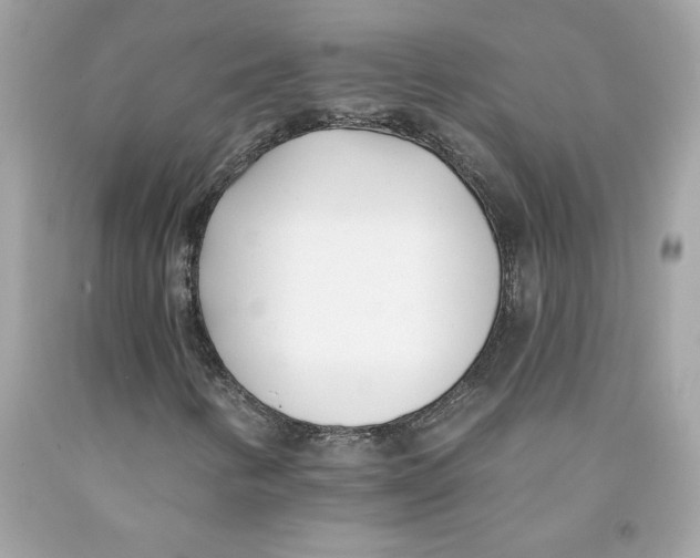 X0000091071346200709041211