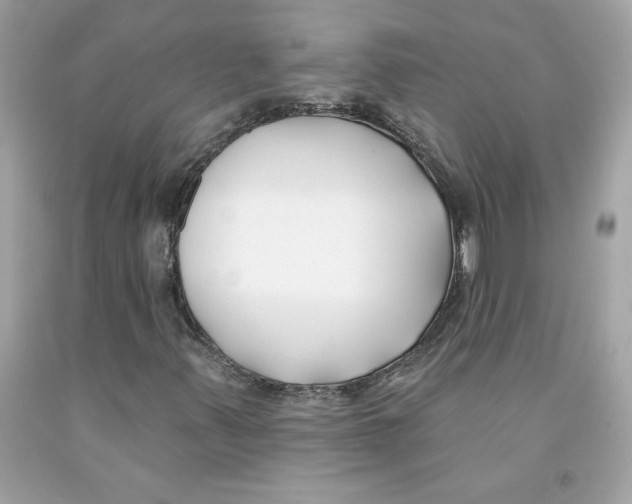 X0000091071347200709041211