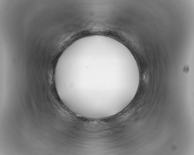 X0000091071348200709041211