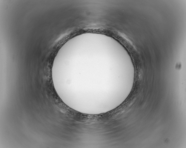 X0000091071350200709041211