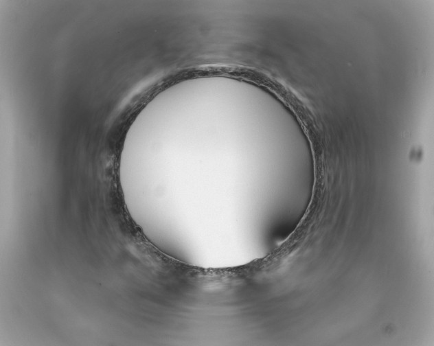 X0000091071351200709041211