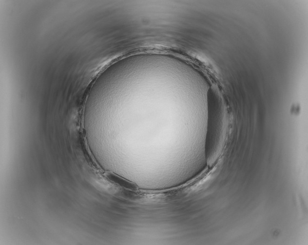 X0000091071353200709041211
