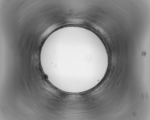 X0000091071354200709041211