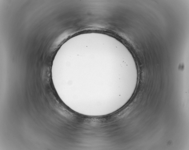 X0000091071355200709041211