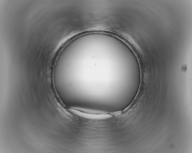 X0000091071356200709041211