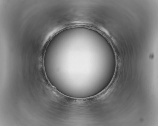 X0000091071357200709041211