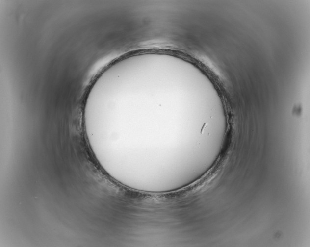 X0000091071358200709041211