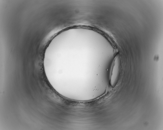 X0000091071359200709041211