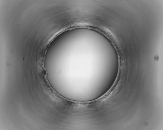 X0000091071361200709041211