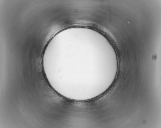 X0000091071362200709041211