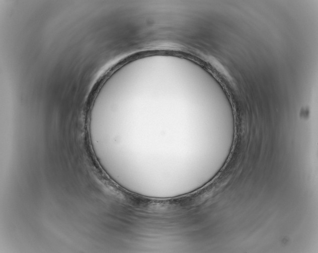 X0000091071364200709041211
