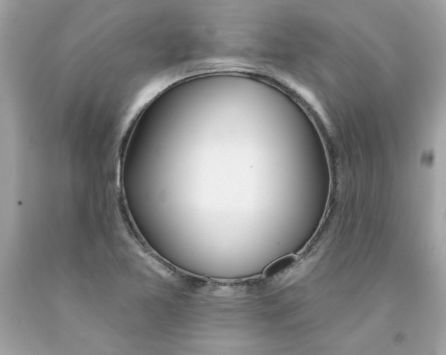 X0000091071365200709041211